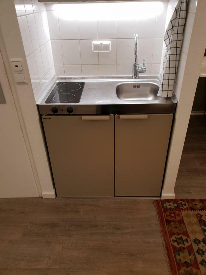 Studio Apartment In Zentraler Lage Mainz Eksteriør billede